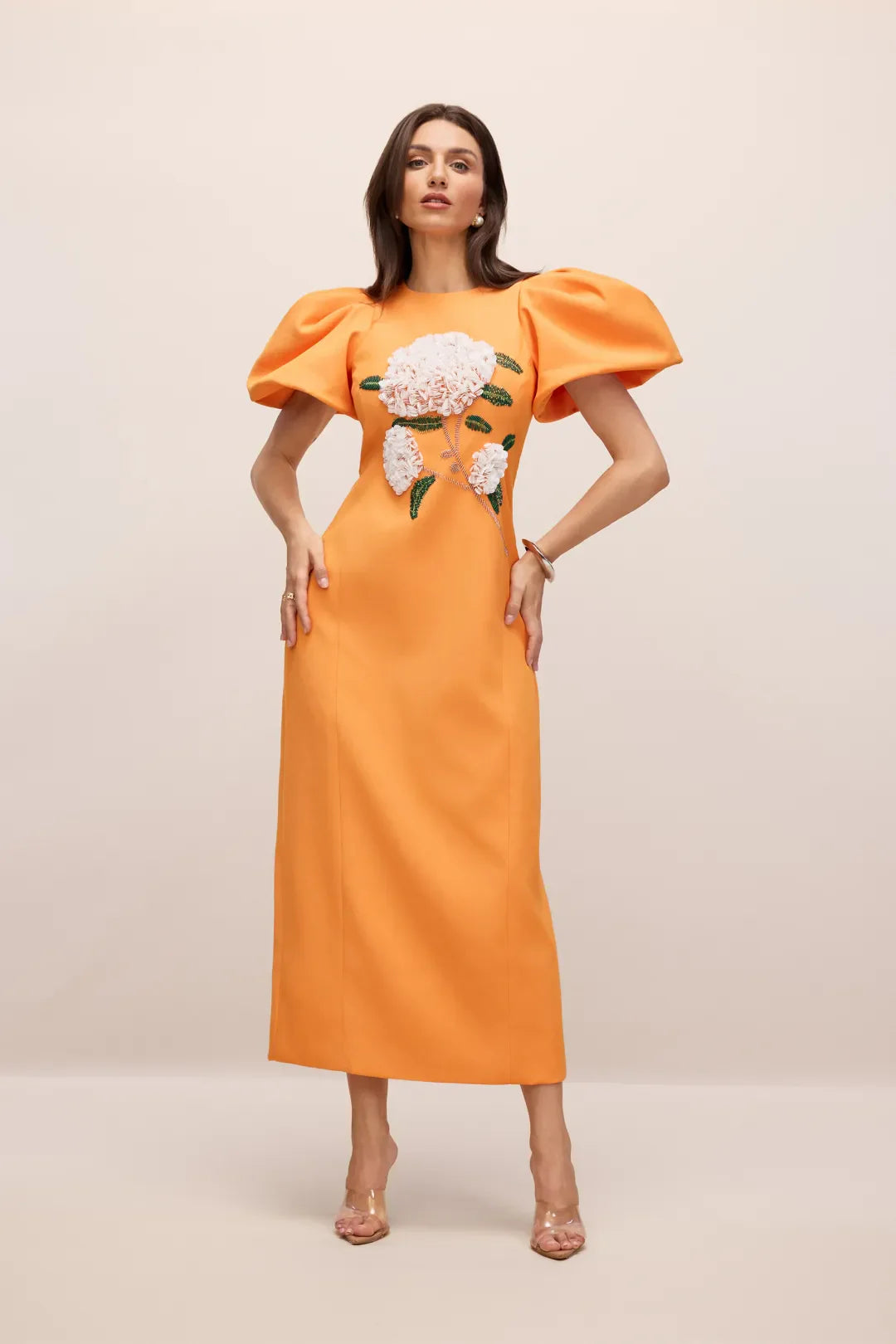 Botanica — Vestido Maxi de Manga Abullonada Bordado Floral
