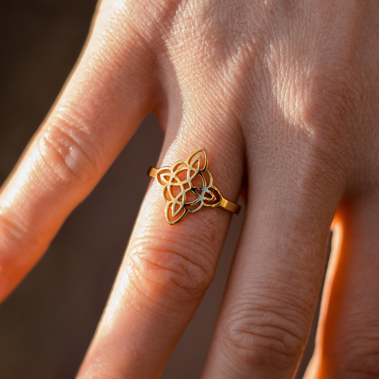 Protección Eterna - Anillo Armónico